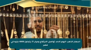 أسعار الذهب اليوم الأحد تواصل الارتفاع وعيار 21 يتجاوز 4600 جنيه في مصر